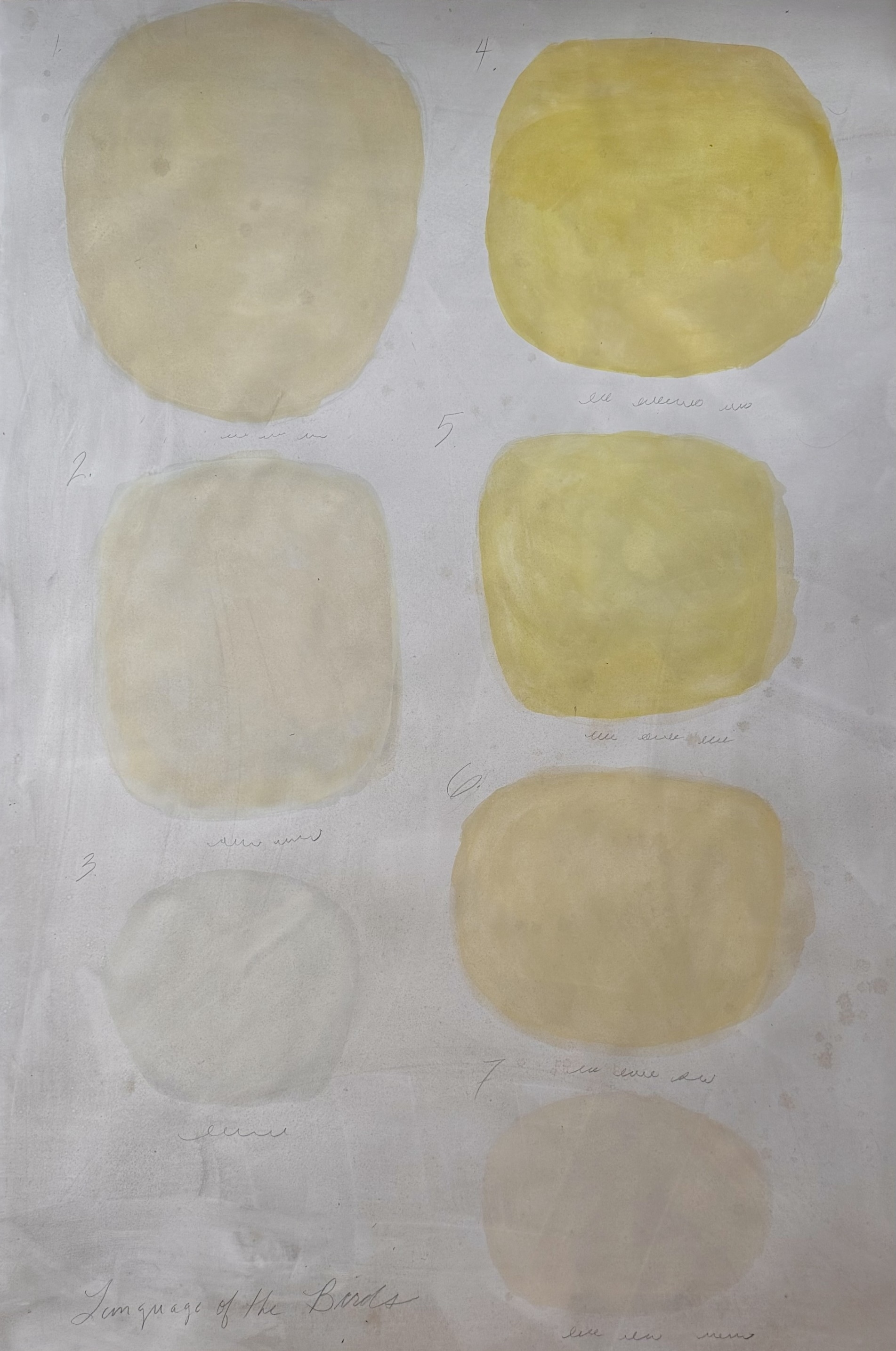 Language of the Birds - 1 yellow