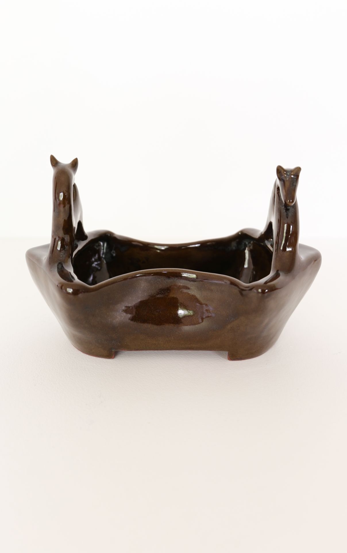 Soucis simples à mi-ombre (Jardinière)