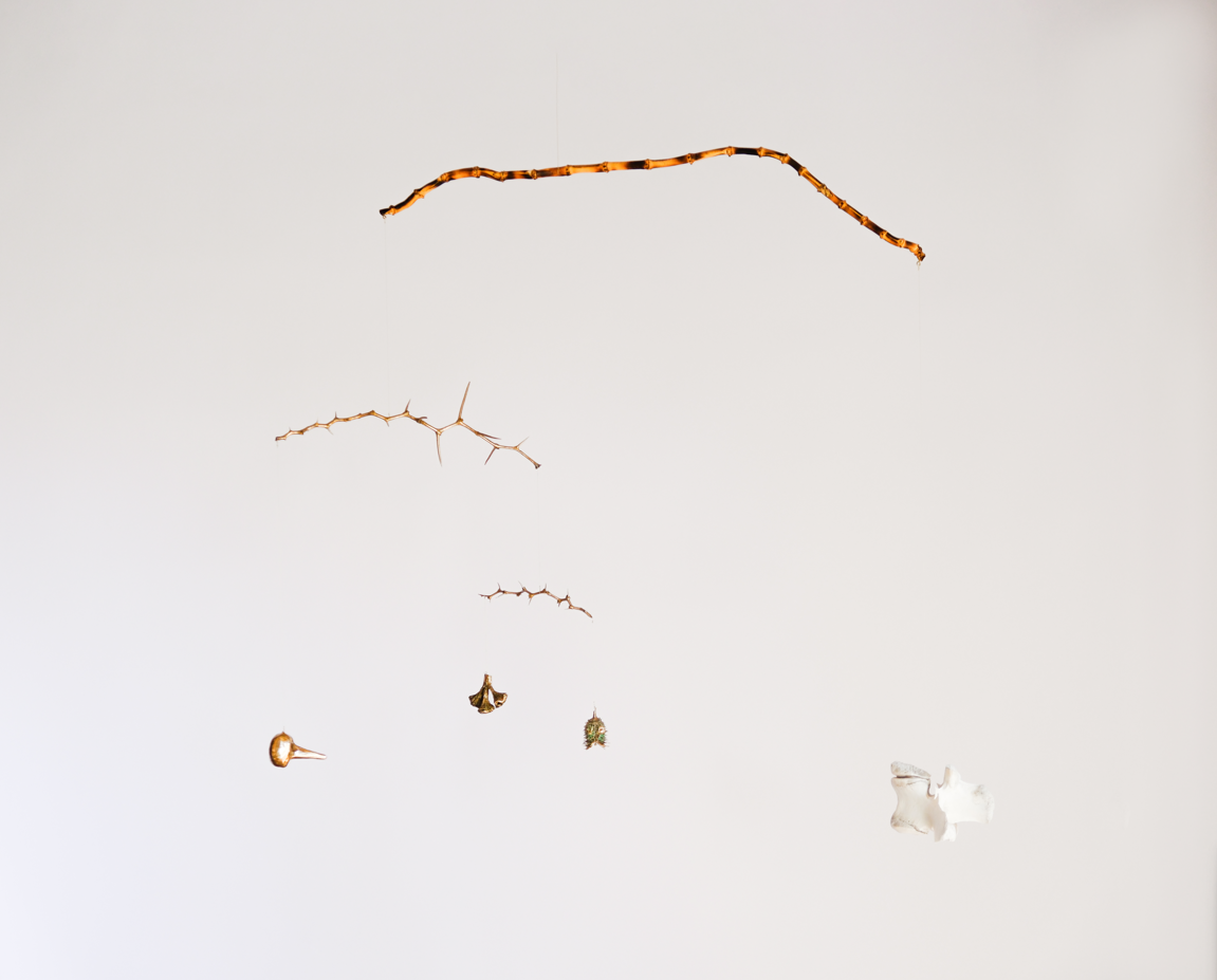 The lies we tell ourselves tip the balance