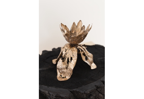 We will not wilt again