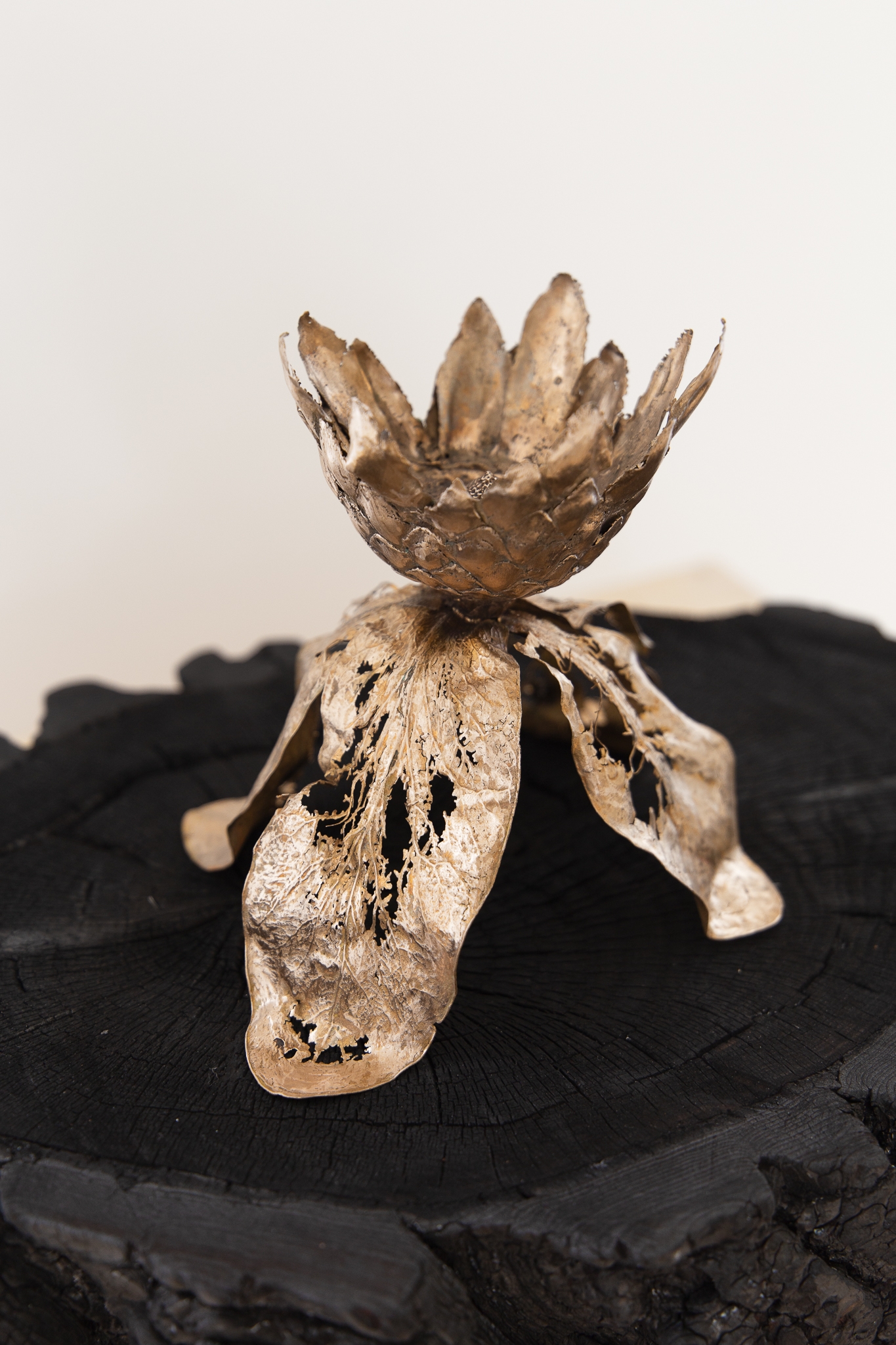 We will not wilt again