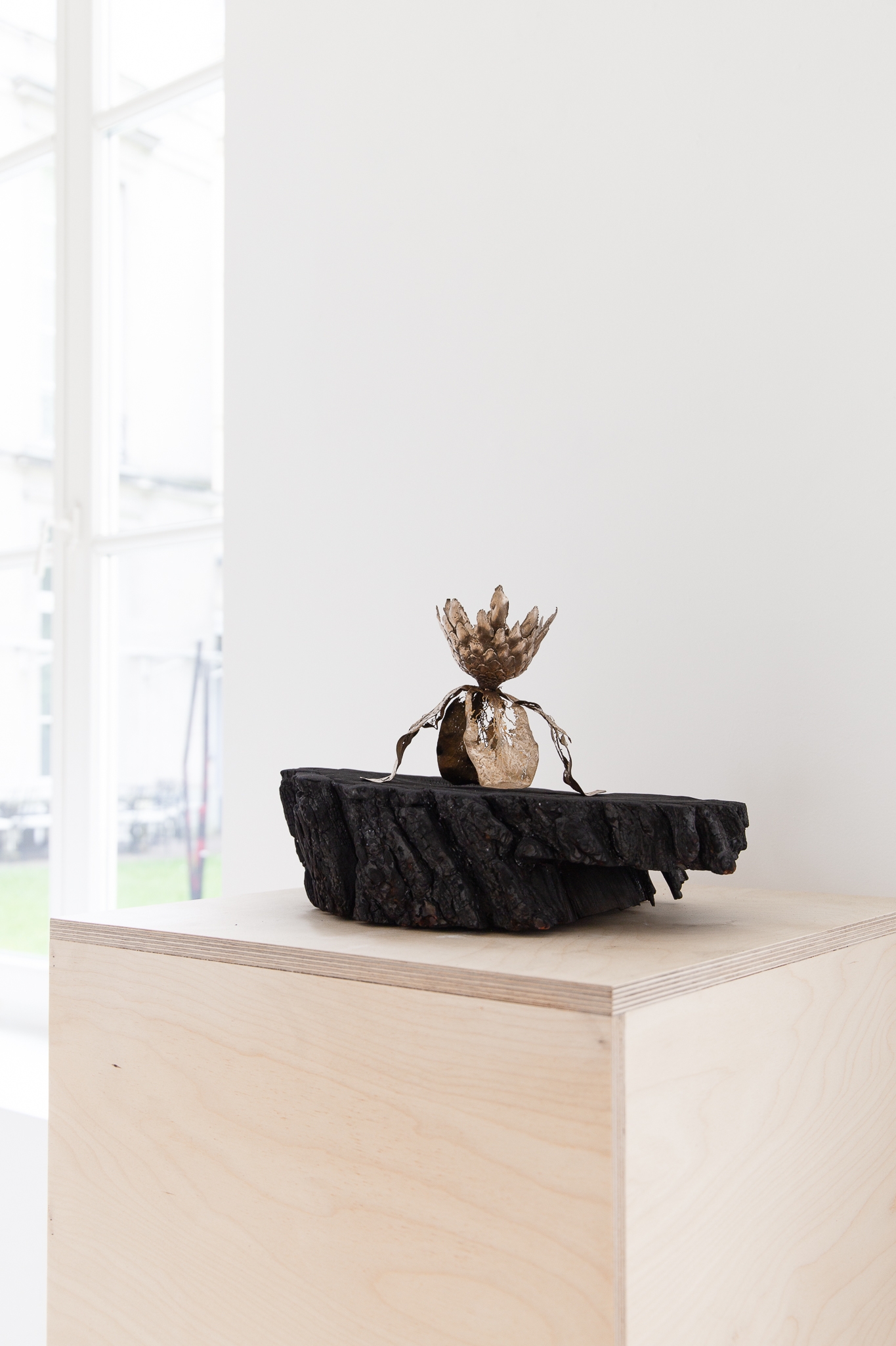 We will not wilt again