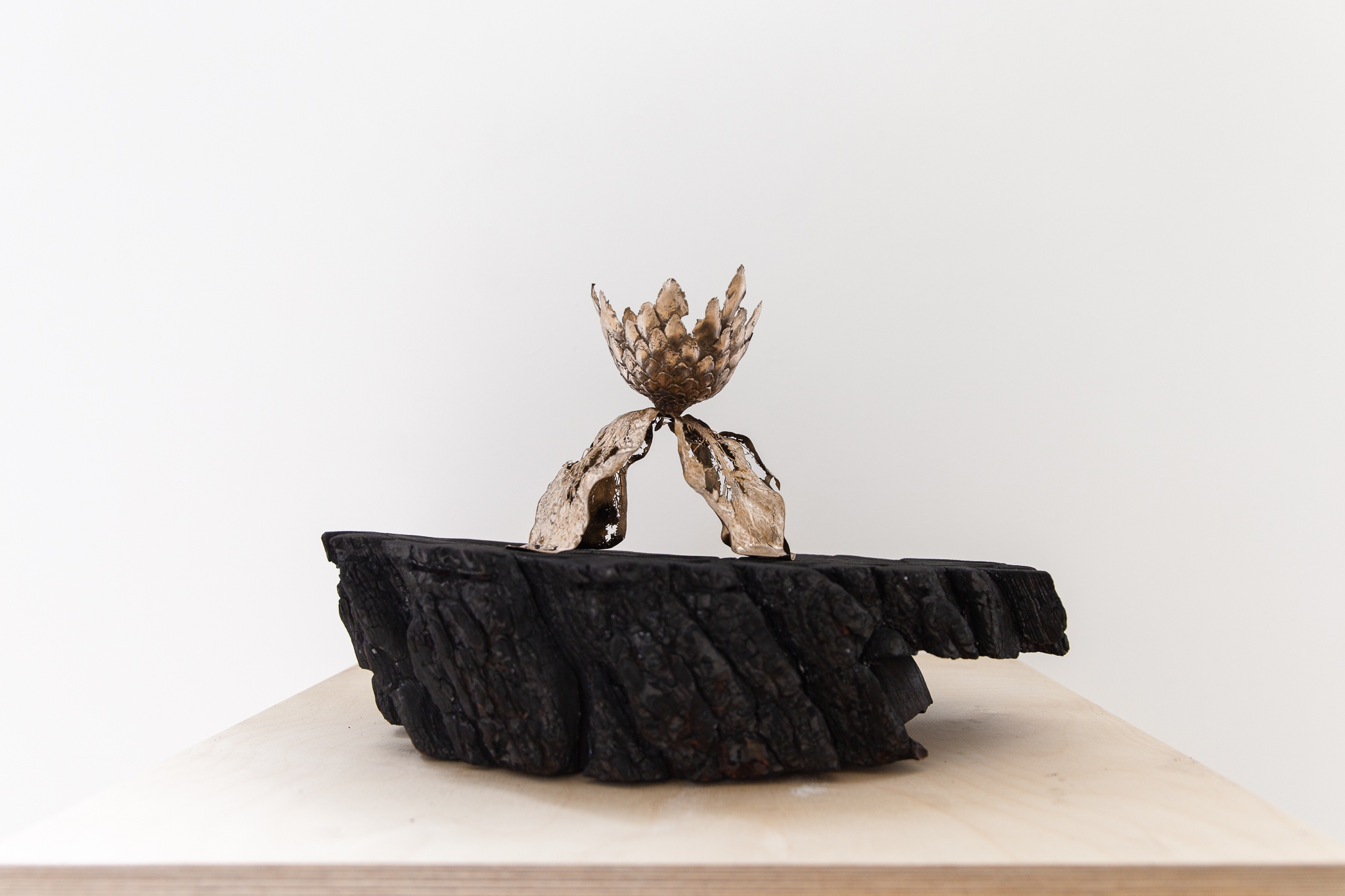 We will not wilt again