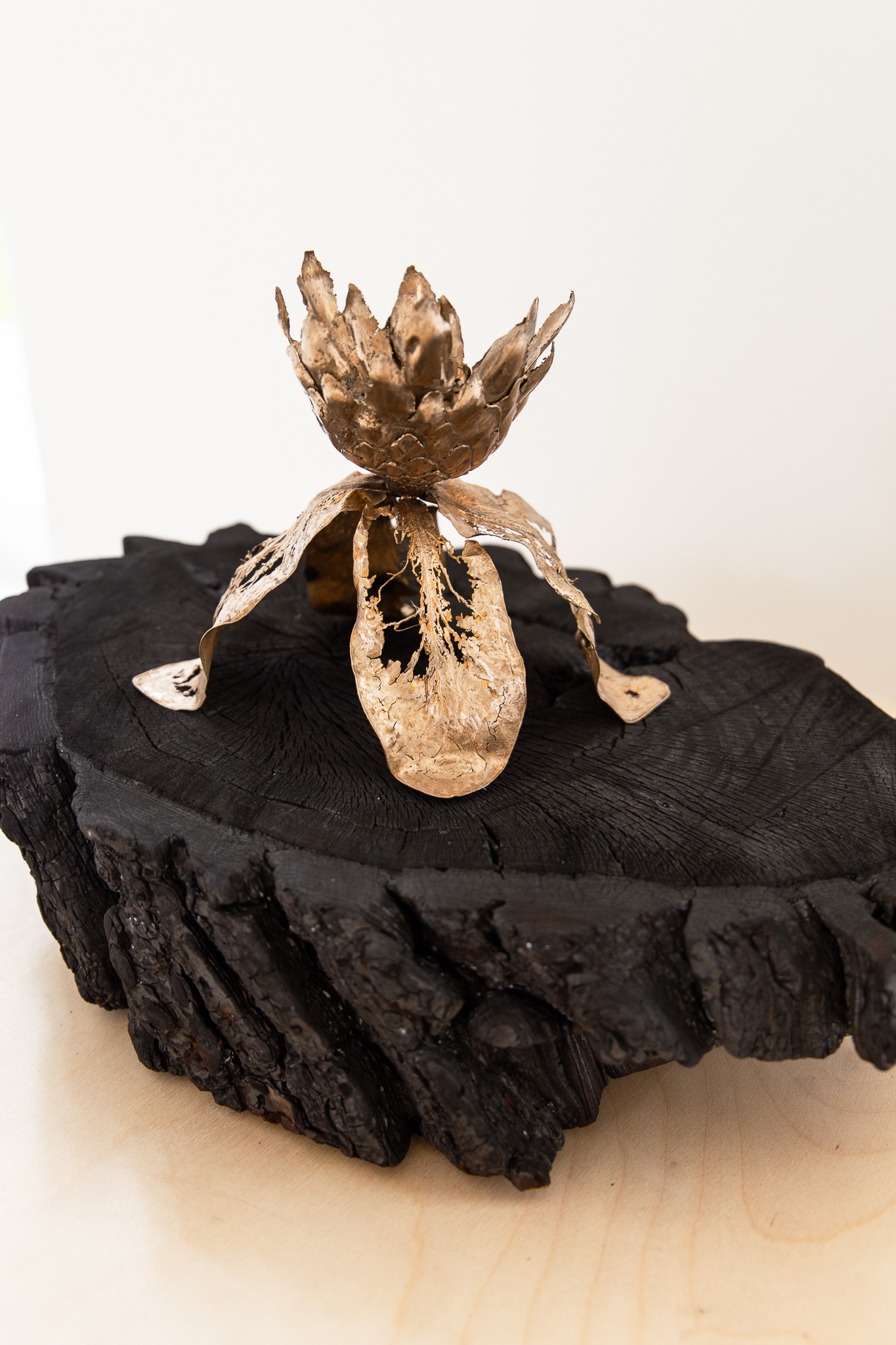 We will not wilt again