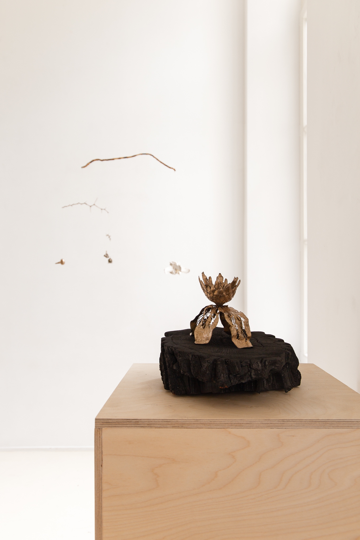 We will not wilt again