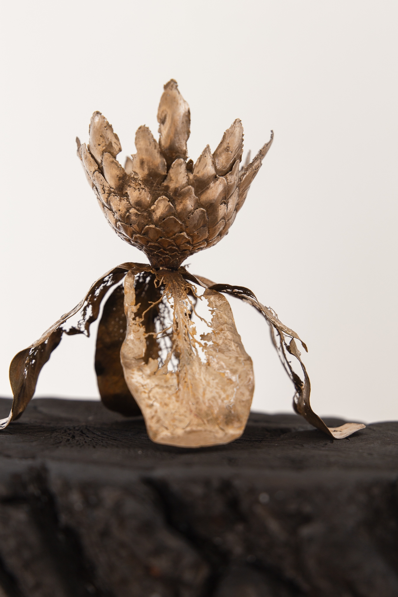 We will not wilt again