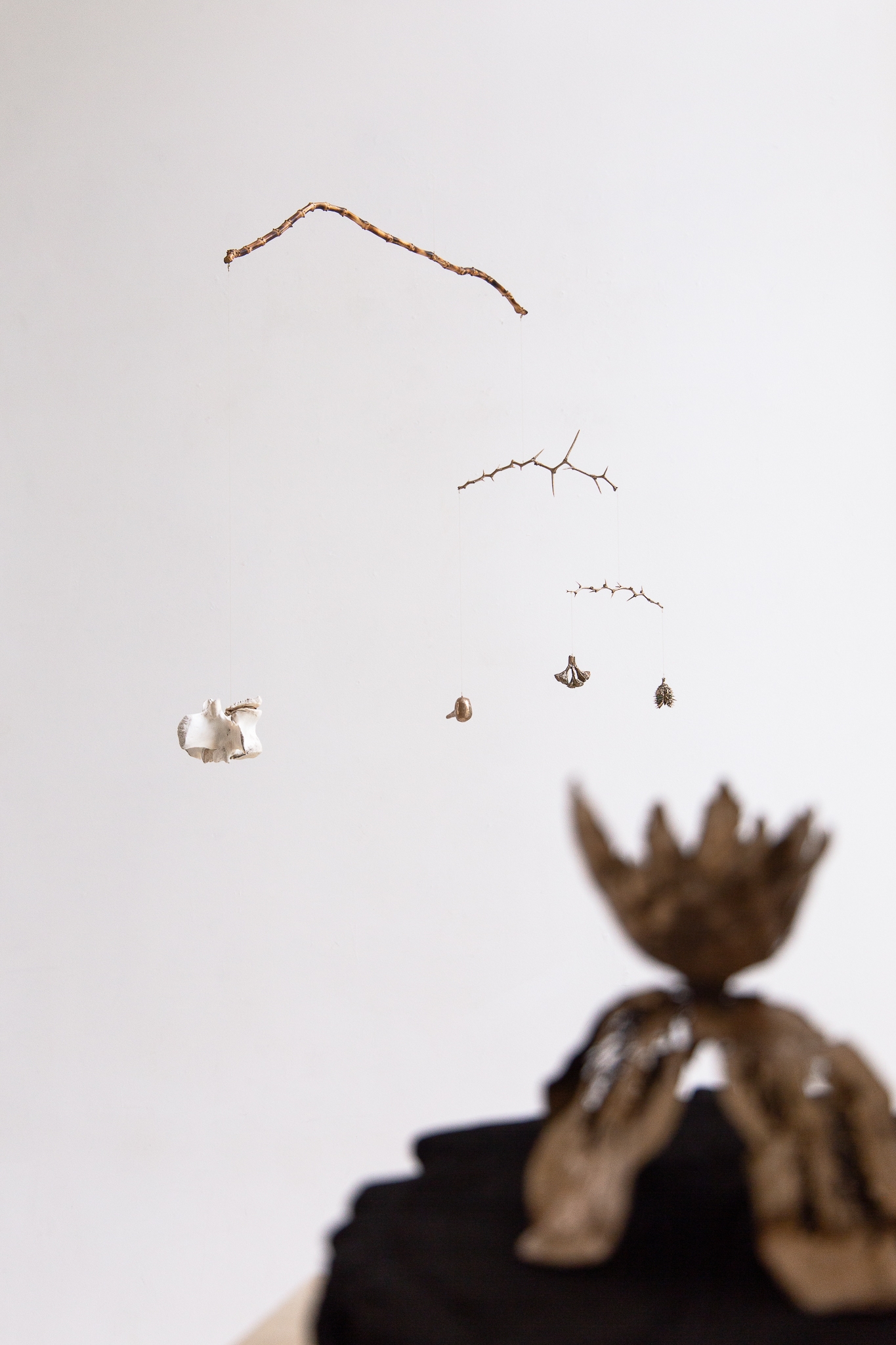 We will not wilt again