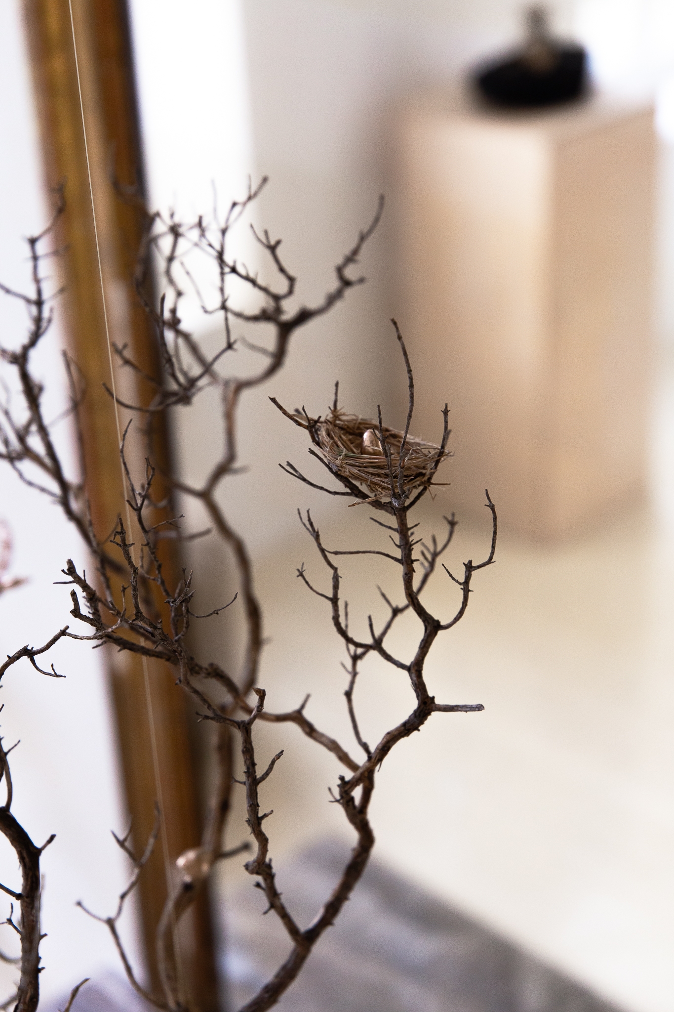 The mother flees the nest to hunt under the moon that watches