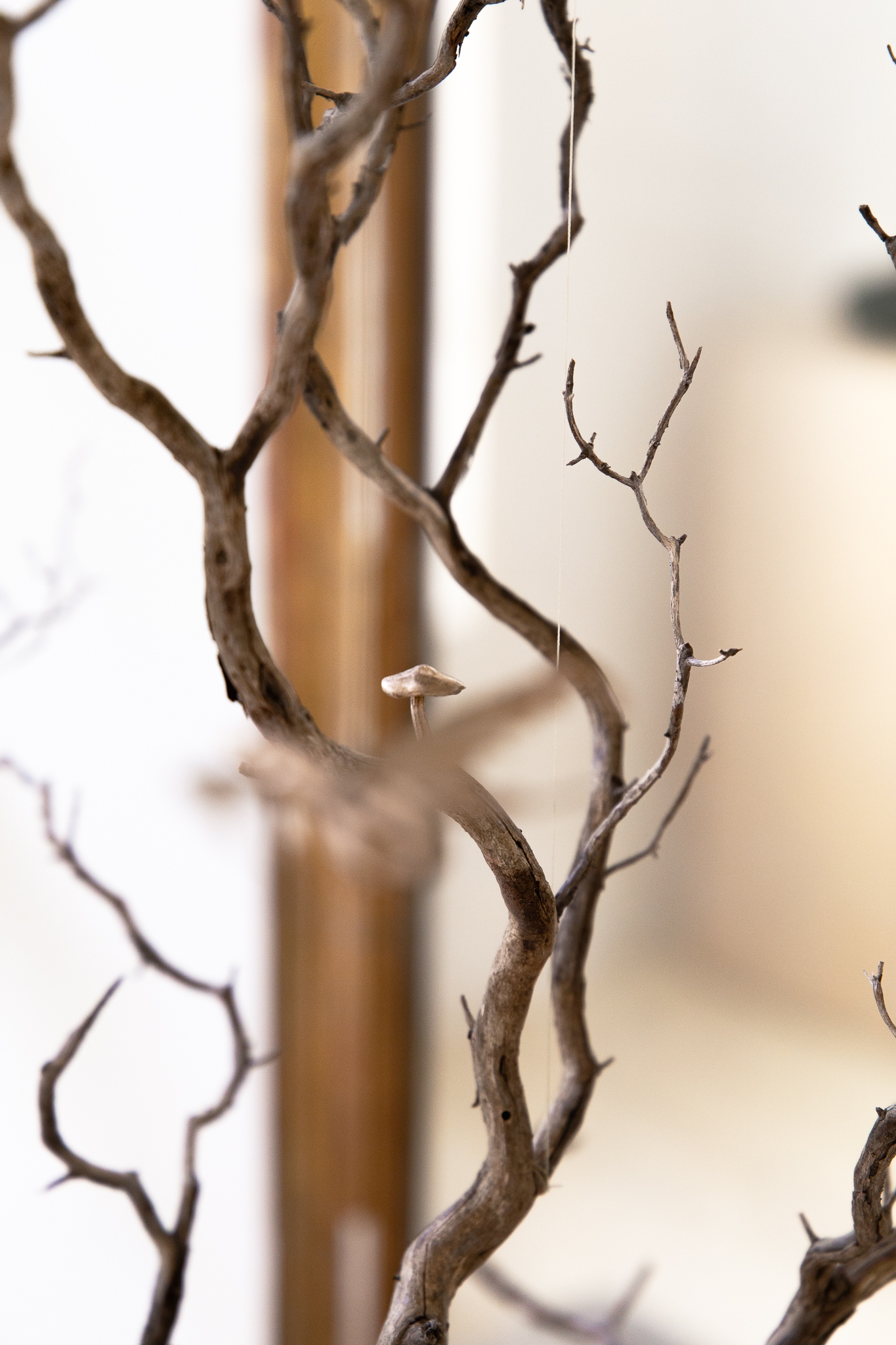 The mother flees the nest to hunt under the moon that watches