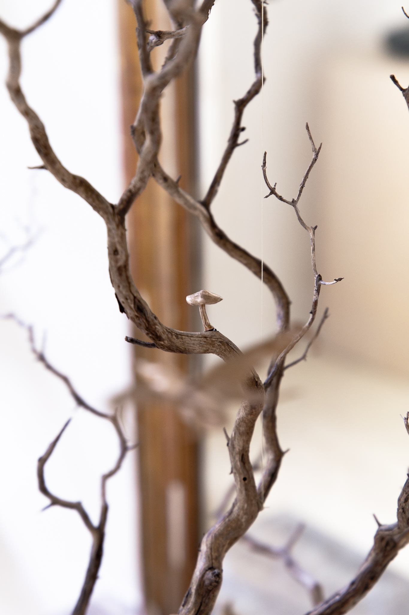 The mother flees the nest to hunt under the moon that watches