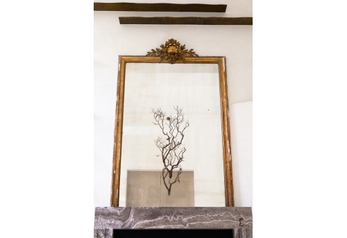 The mother flees the nest to hunt under the moon that watches