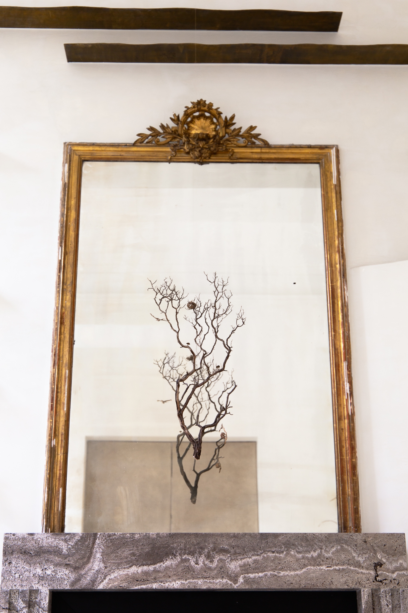 The mother flees the nest to hunt under the moon that watches