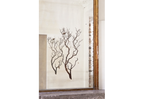 The mother flees the nest to hunt under the moon that watches