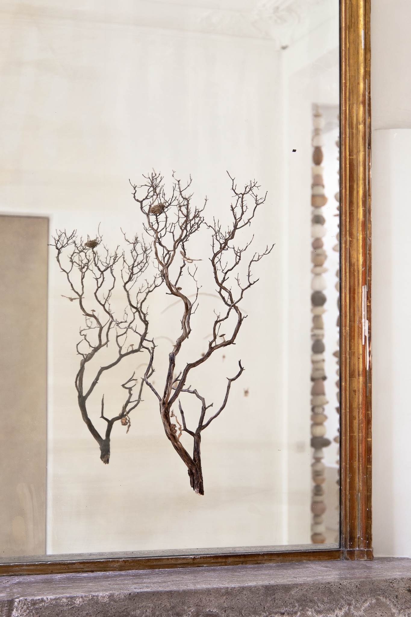 The mother flees the nest to hunt under the moon that watches