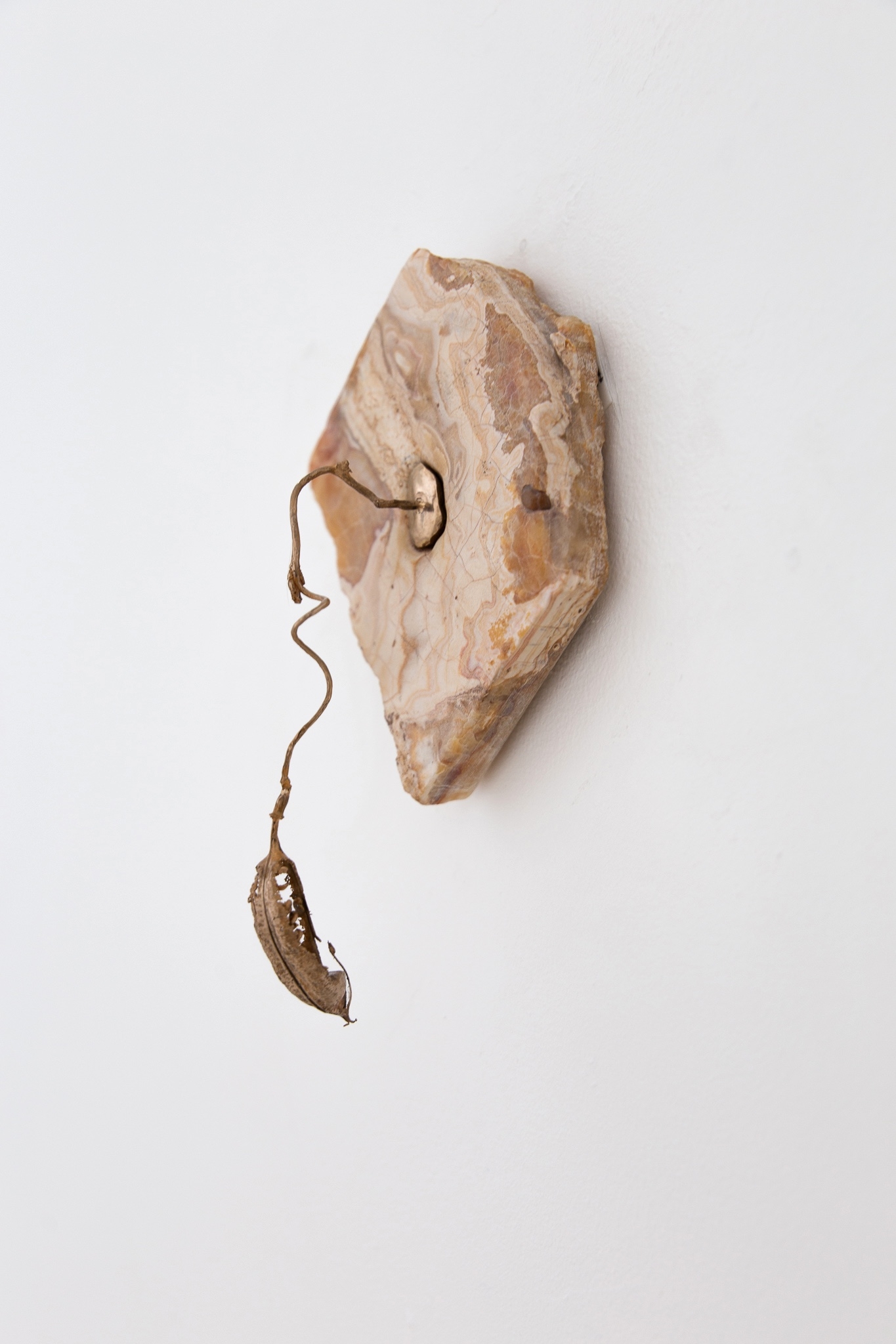 The wings grow back 02