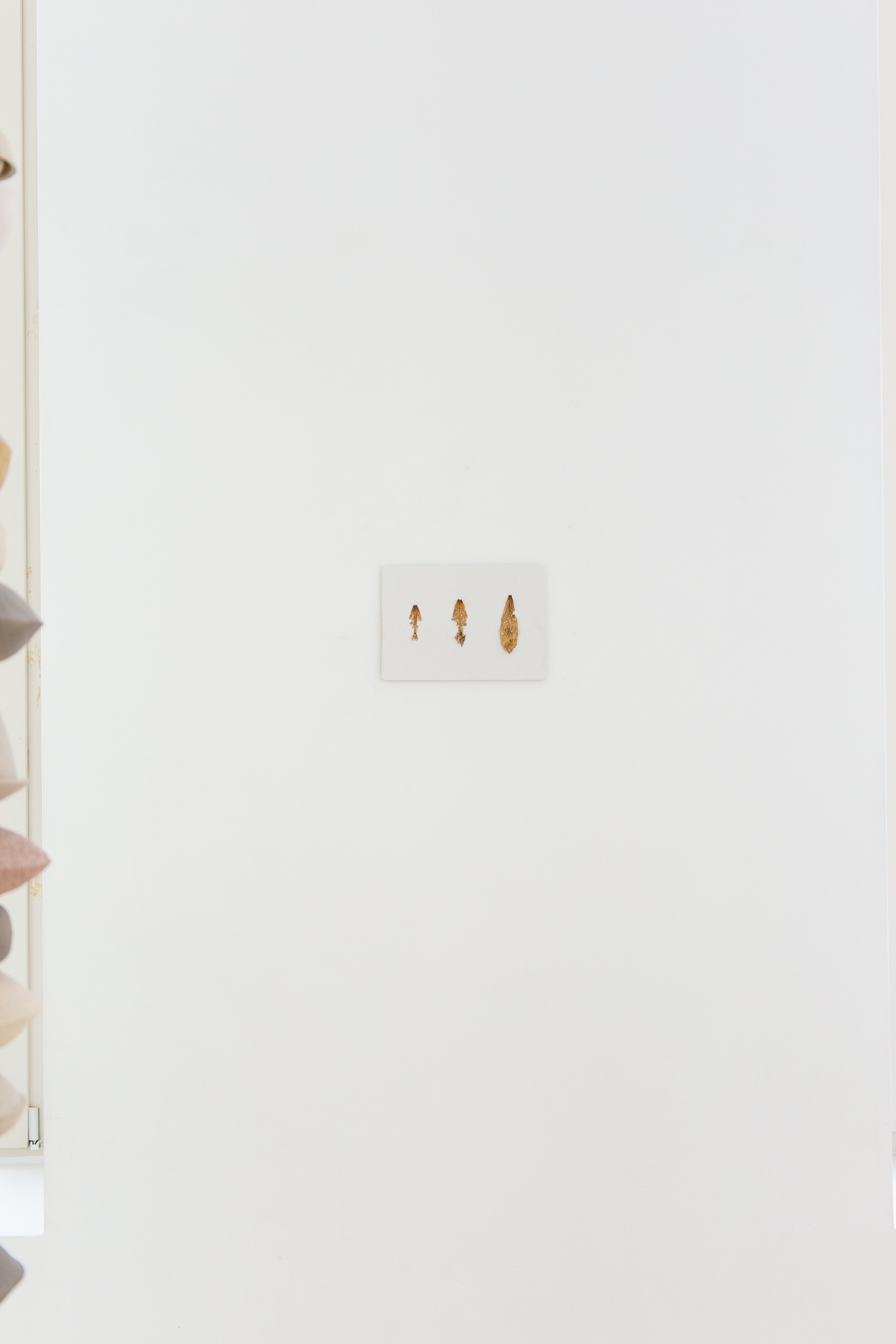 The wings grow back 01