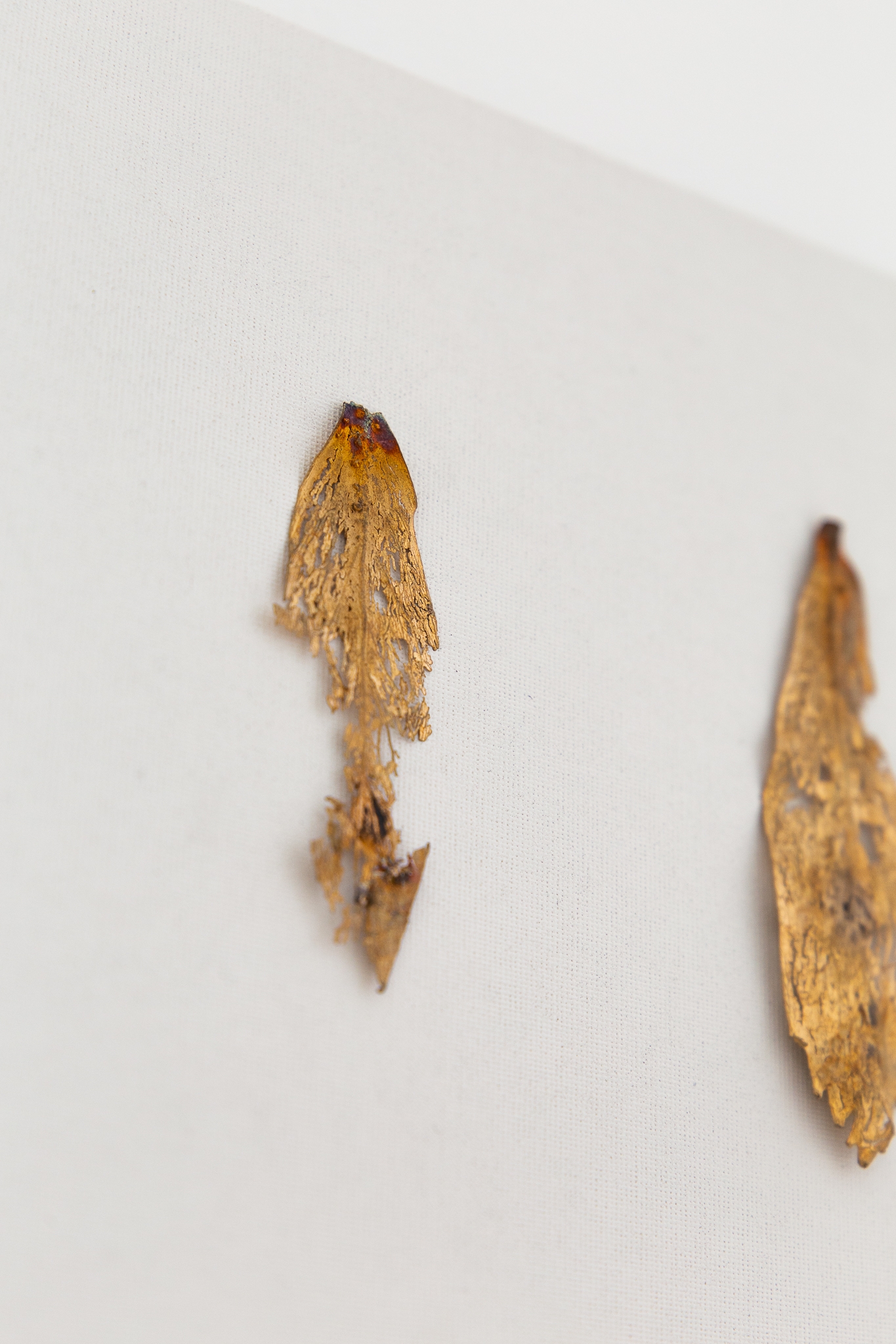 The wings grow back 01