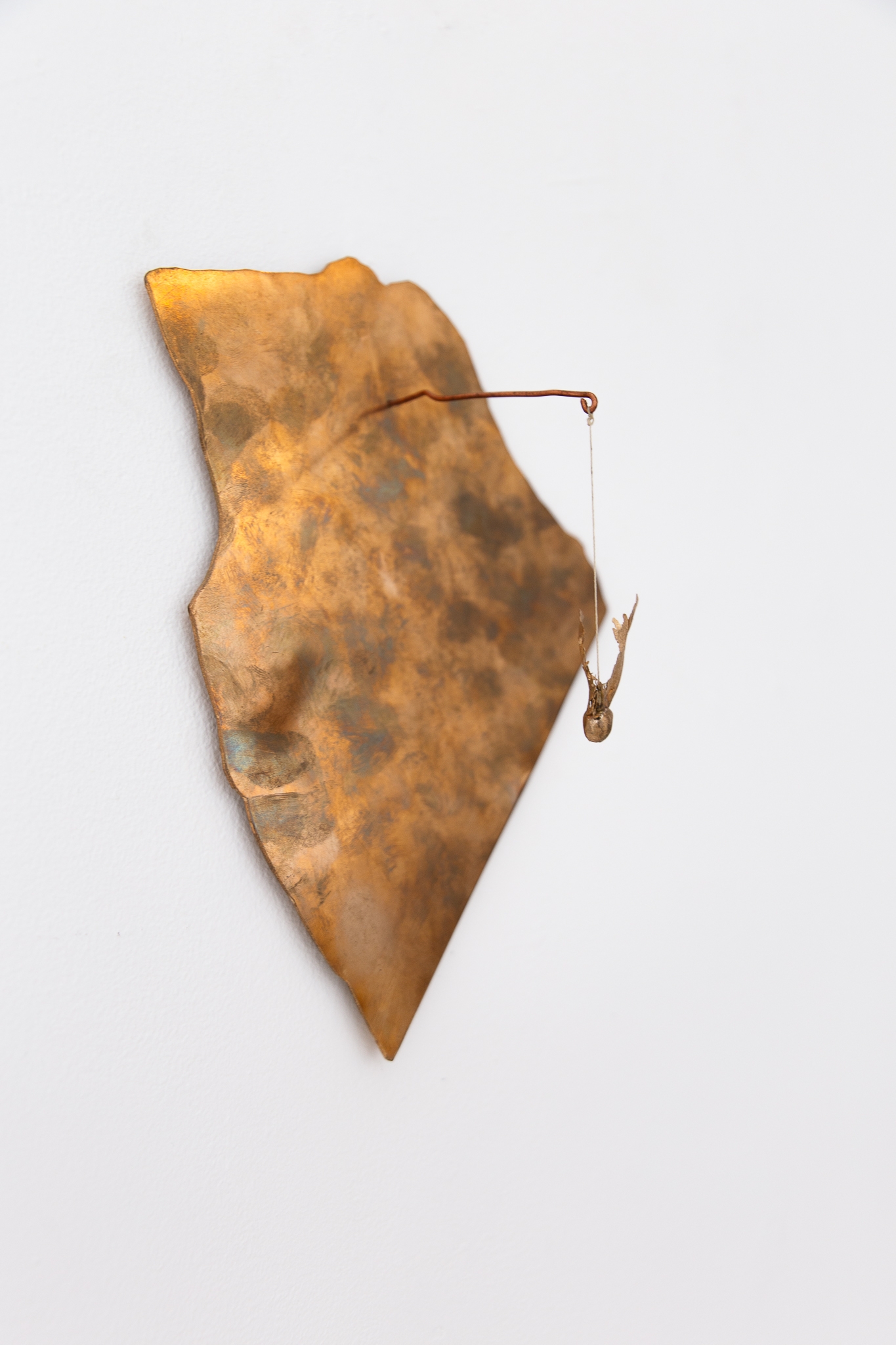 From a black hole, new life emerges