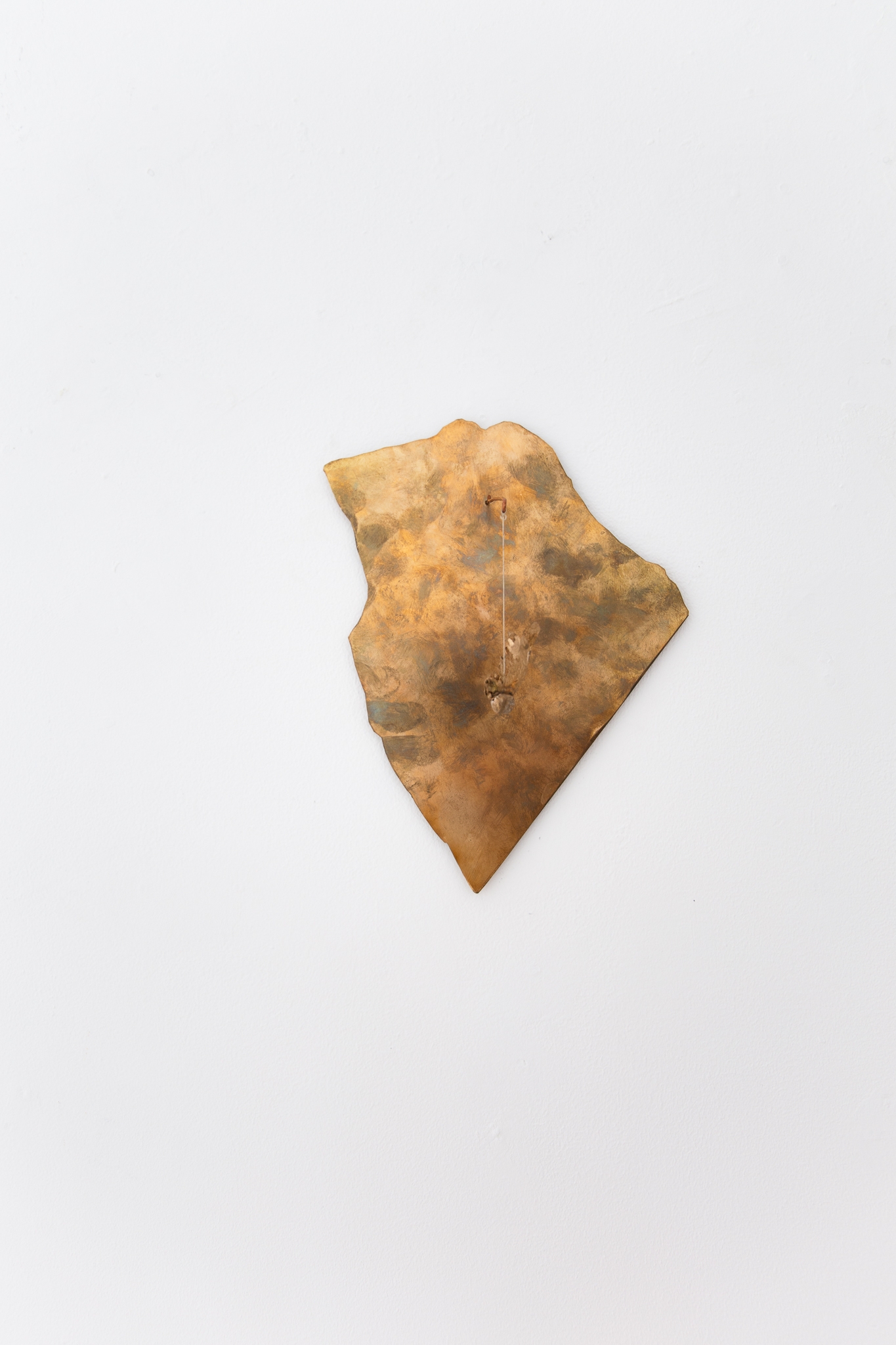 From a black hole, new life emerges