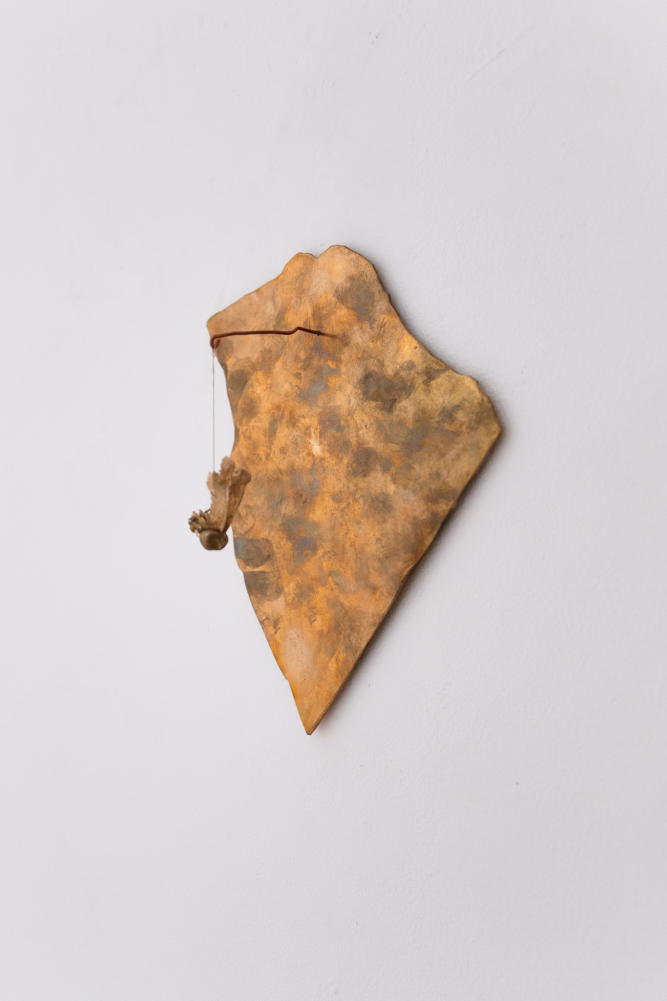 From a black hole, new life emerges