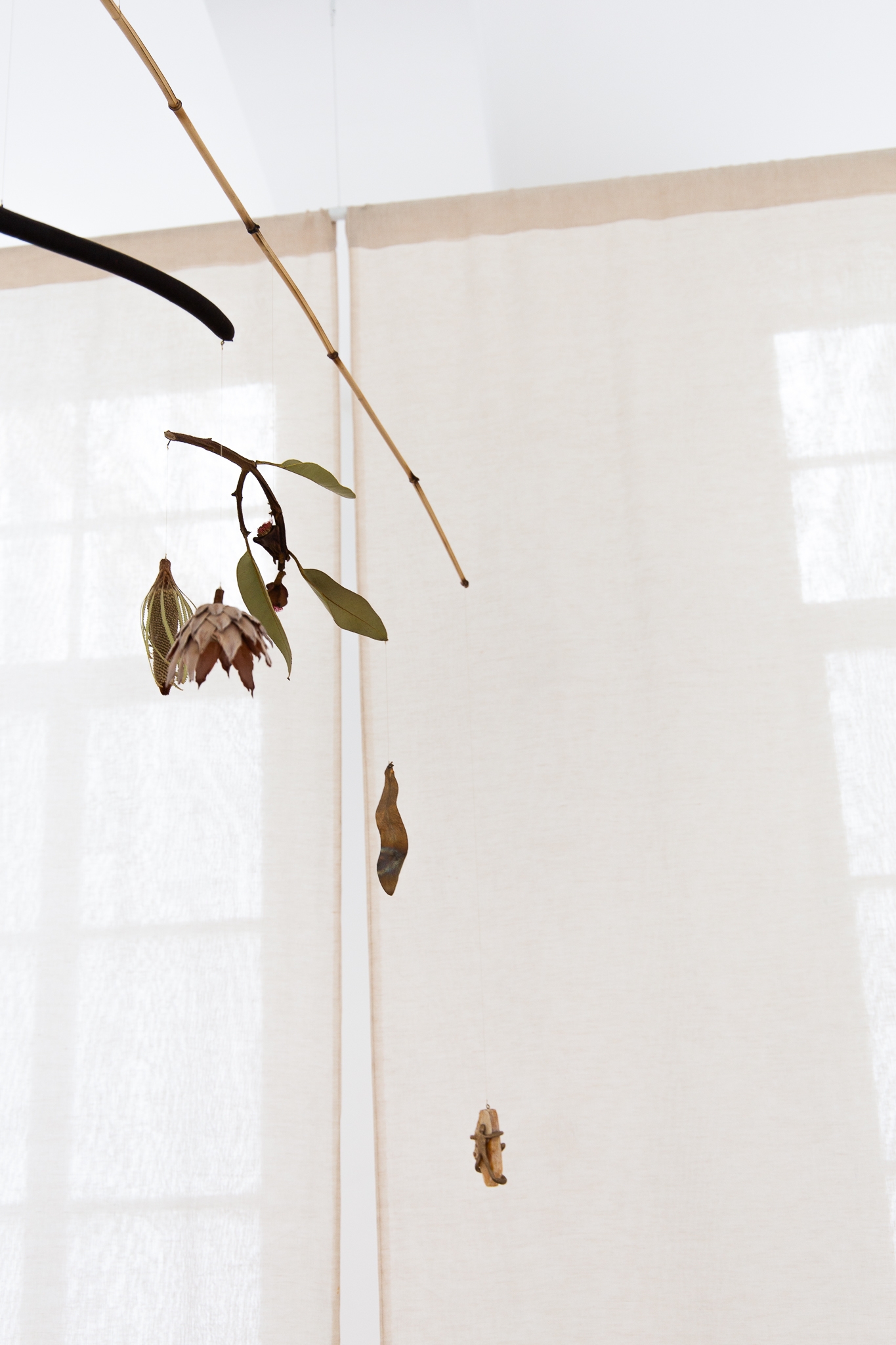 Apocalypse survival guide