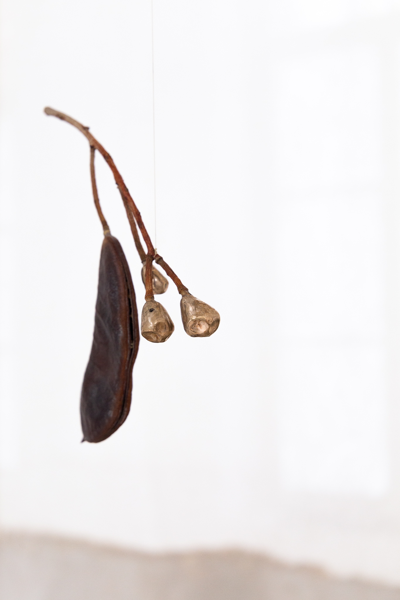 Apocalypse survival guide