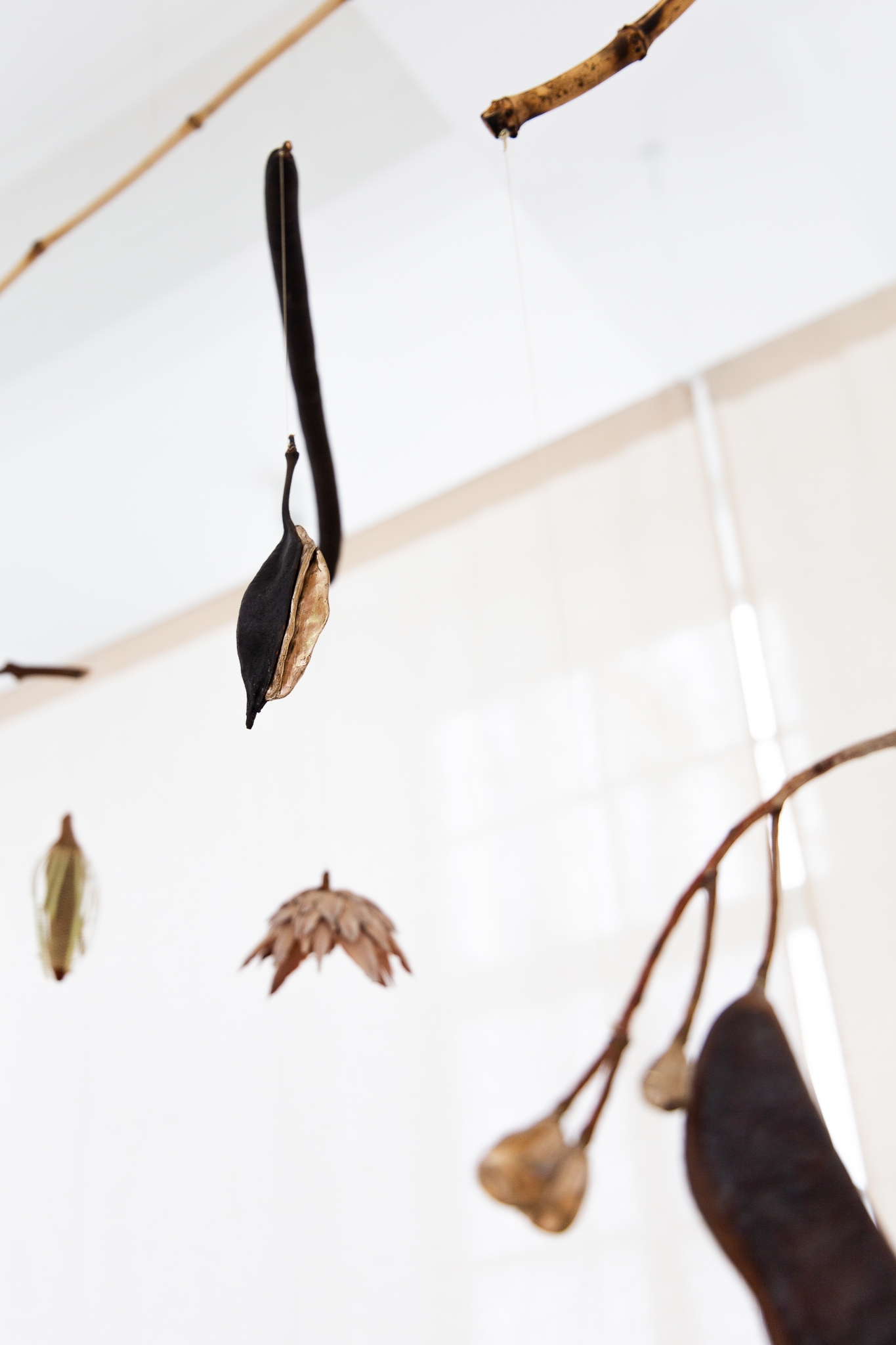 Apocalypse survival guide