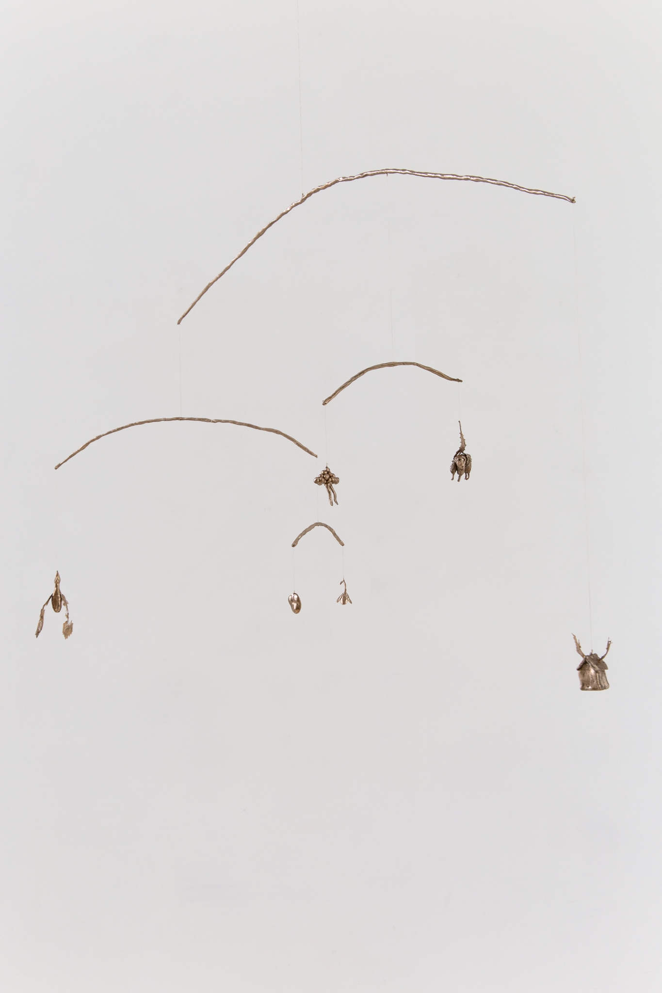 We must grow wings and fly away