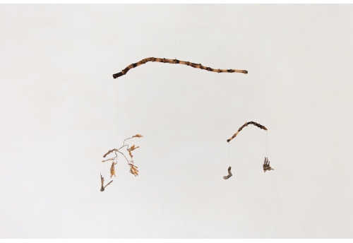 The claw that reaches foright