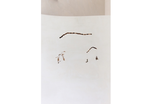 The claw that reaches foright