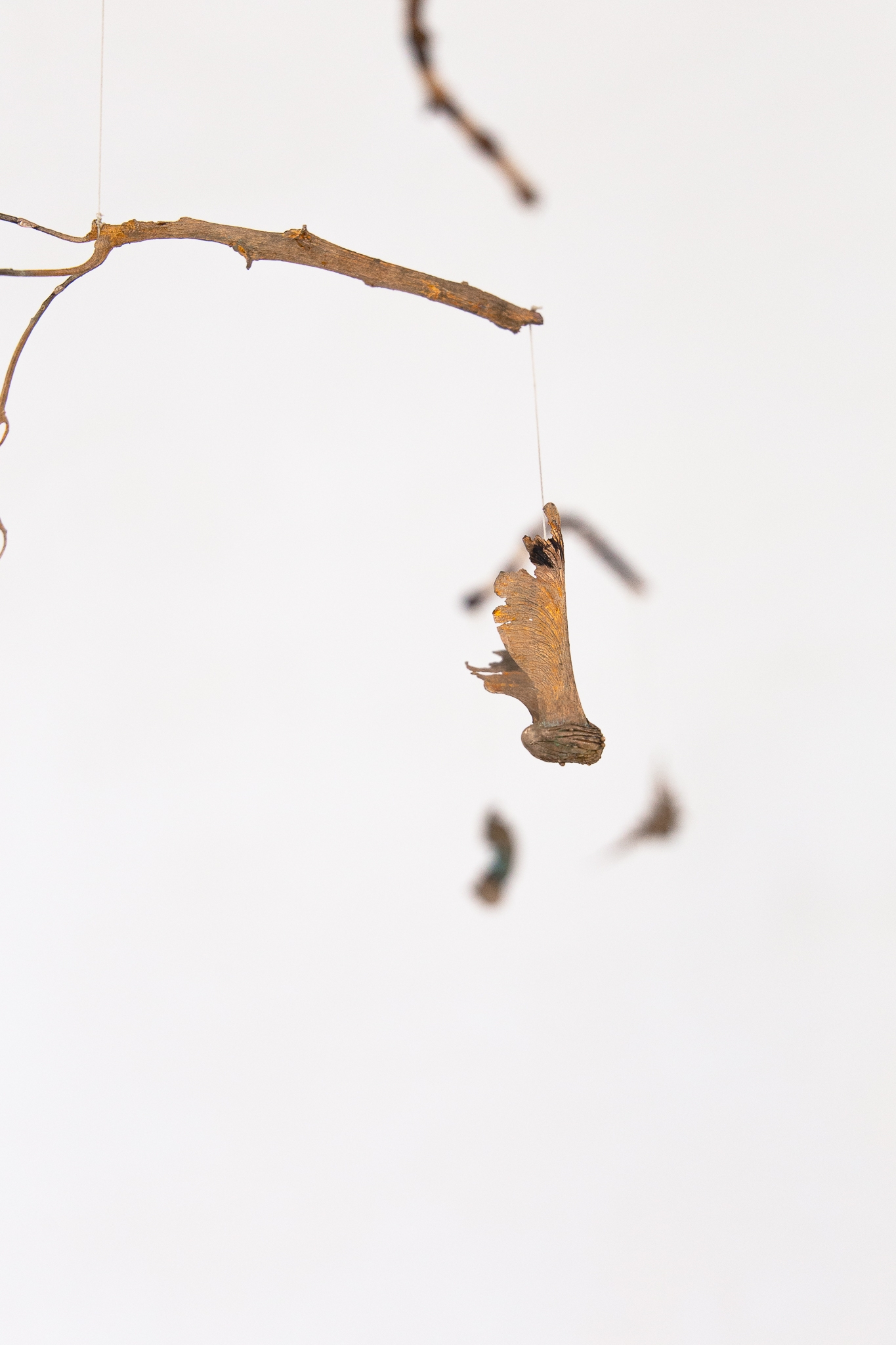 The claw that reaches foright