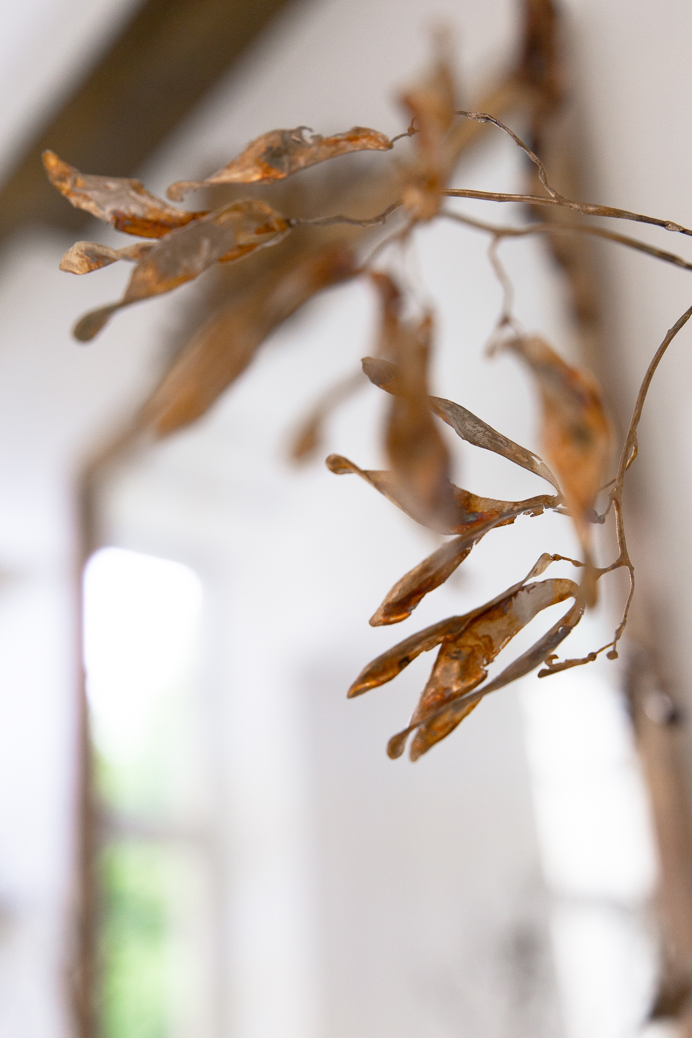 The claw that reaches foright