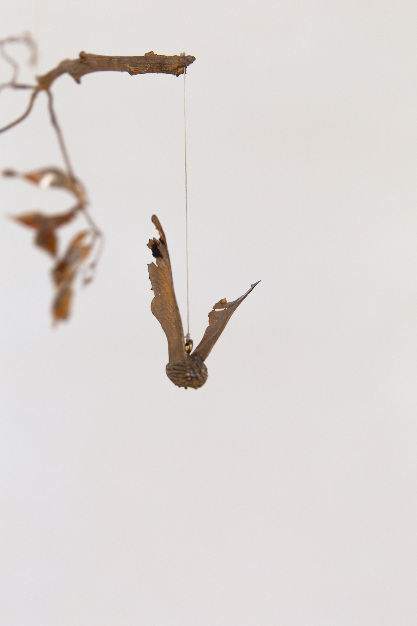 The claw that reaches foright