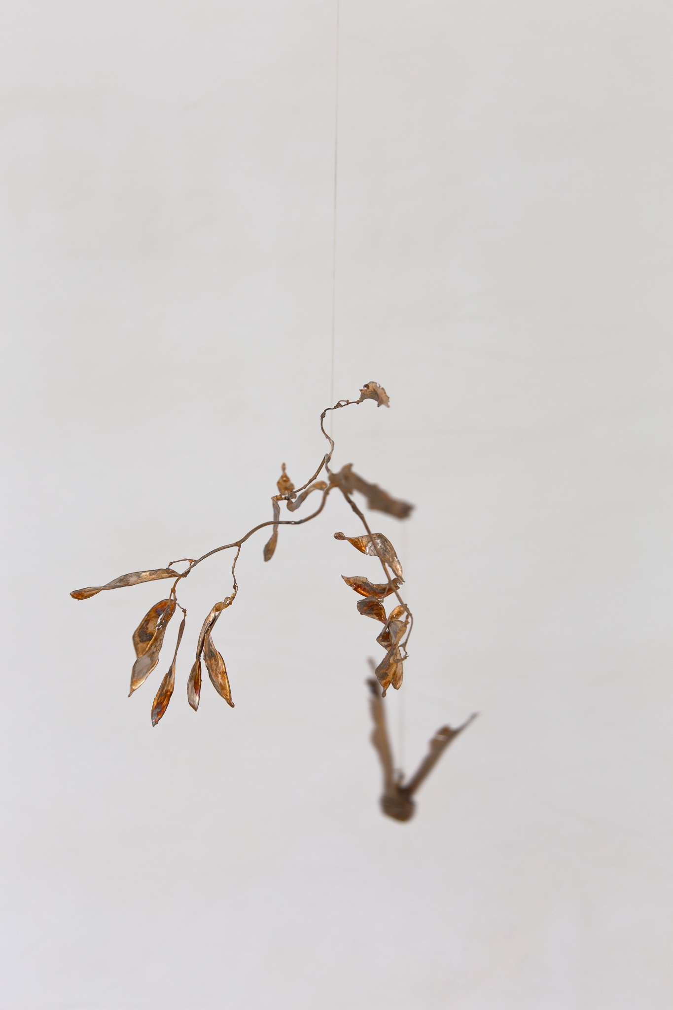 The claw that reaches foright