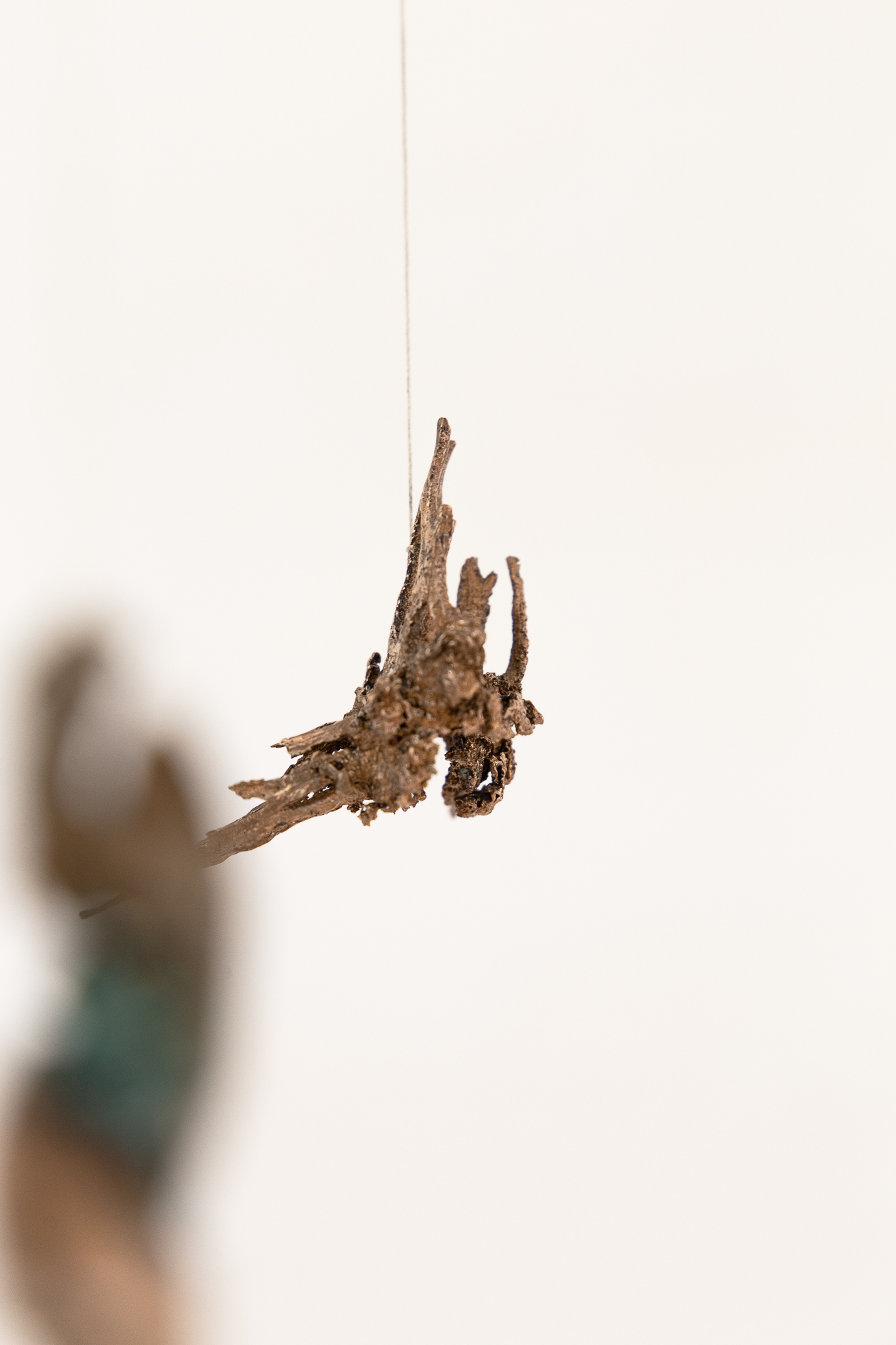 The claw that reaches foright