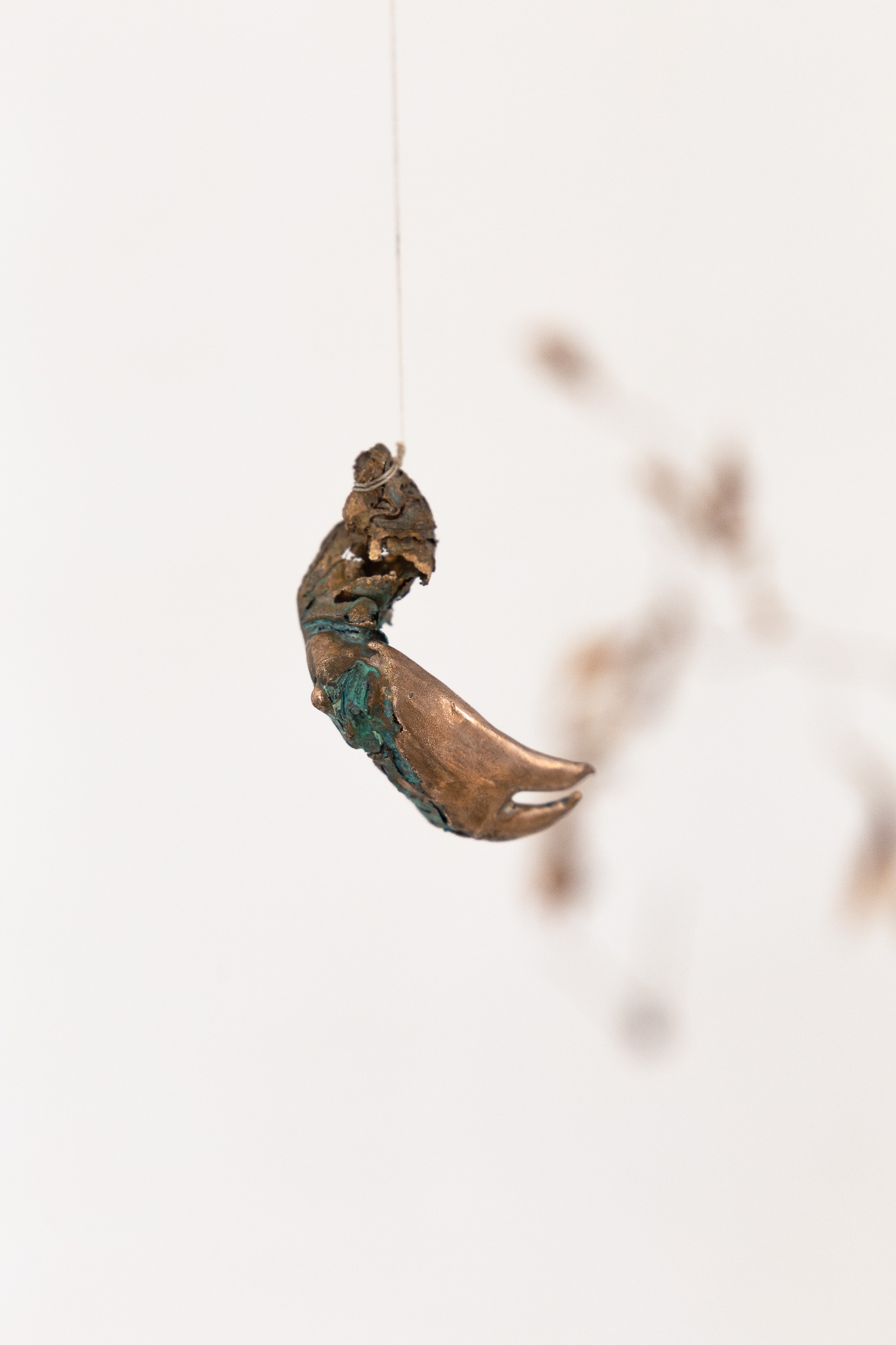 The claw that reaches foright