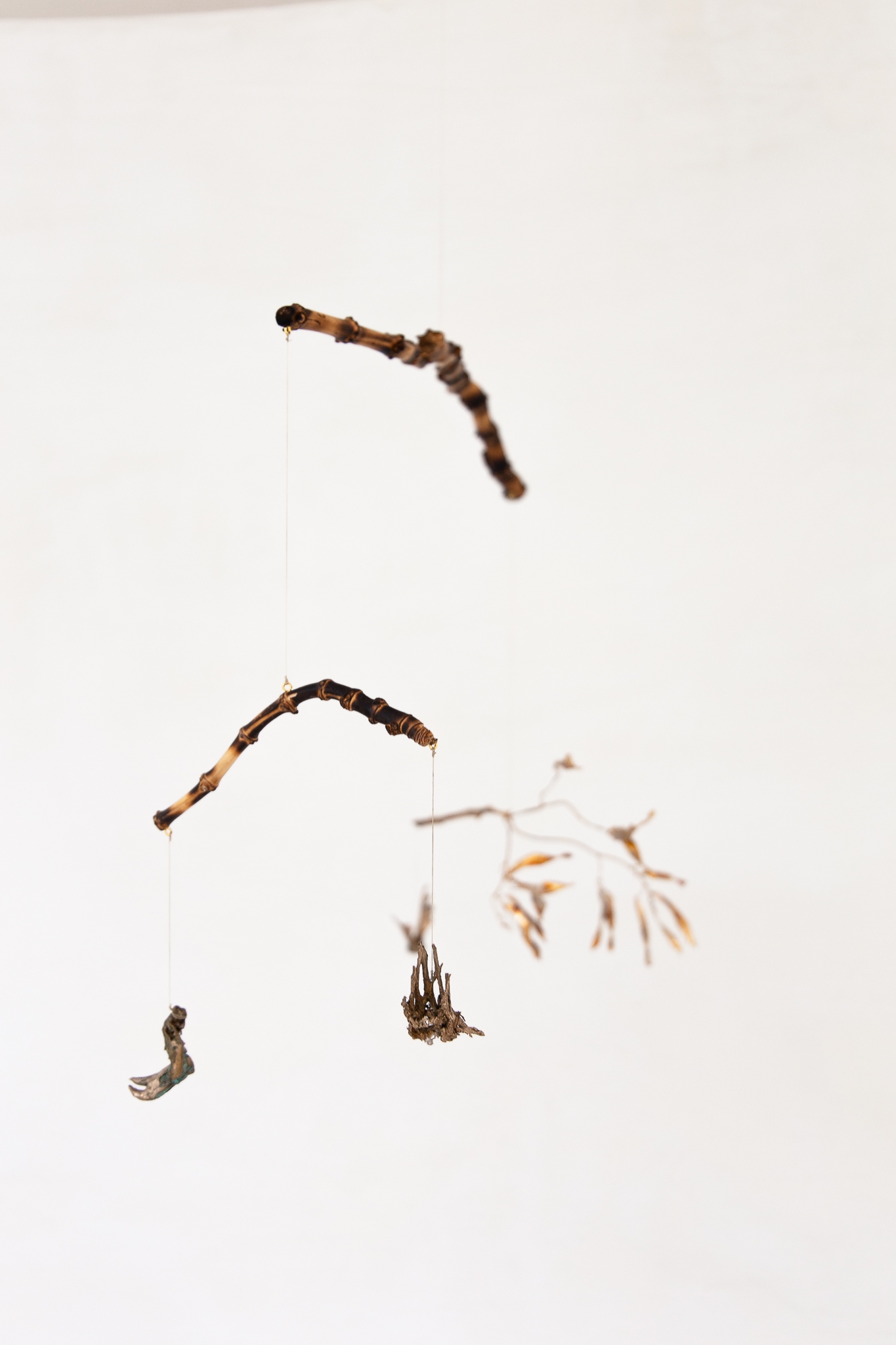 The claw that reaches foright