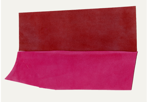 Terpischore : "Celle qui se plaît à danser"