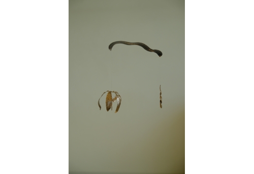 We dance with caged wings