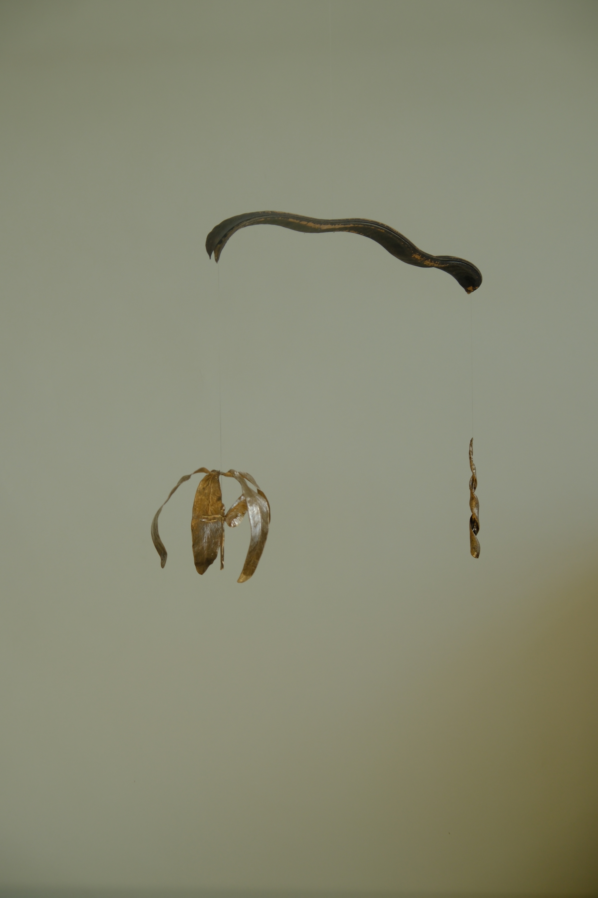 We dance with caged wings