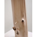 To The Bone II