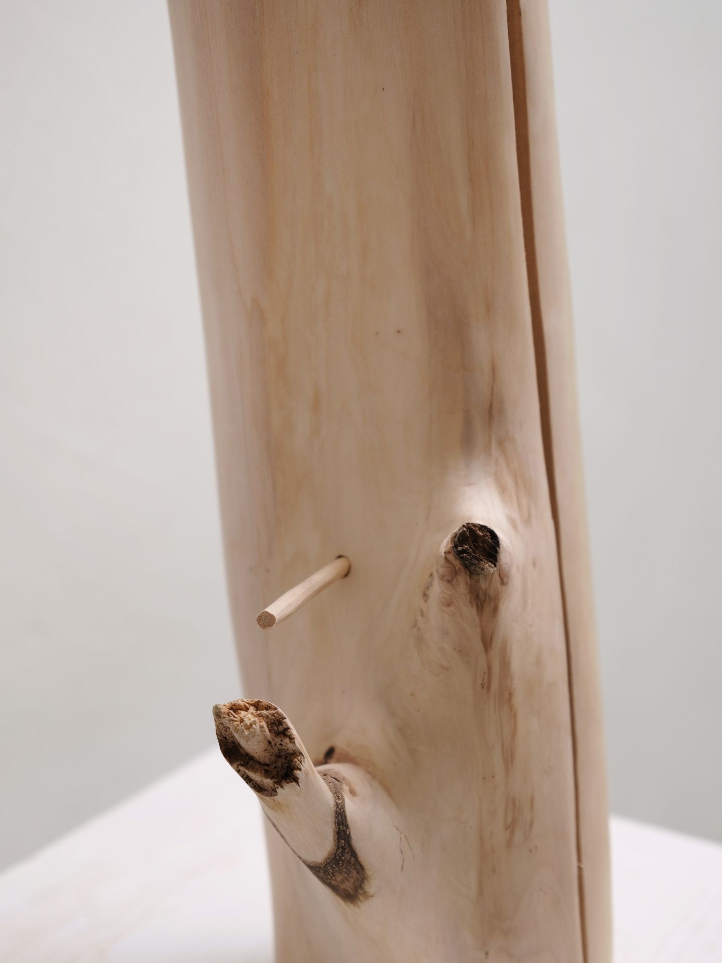 To The Bone II