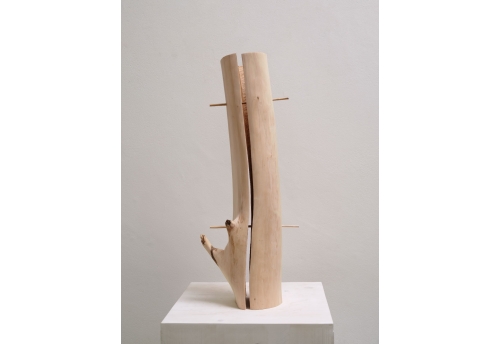 To The Bone II