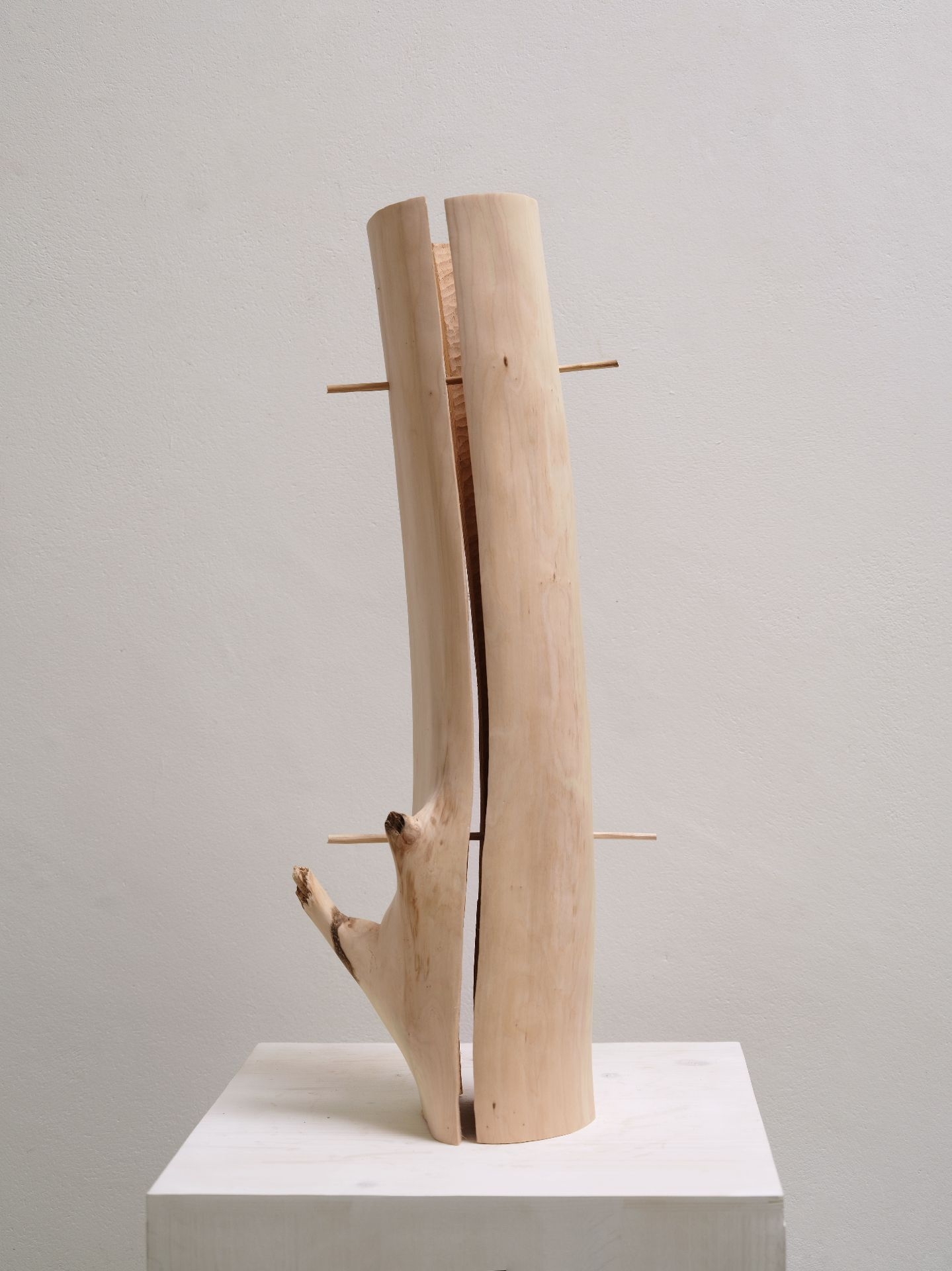 To The Bone II