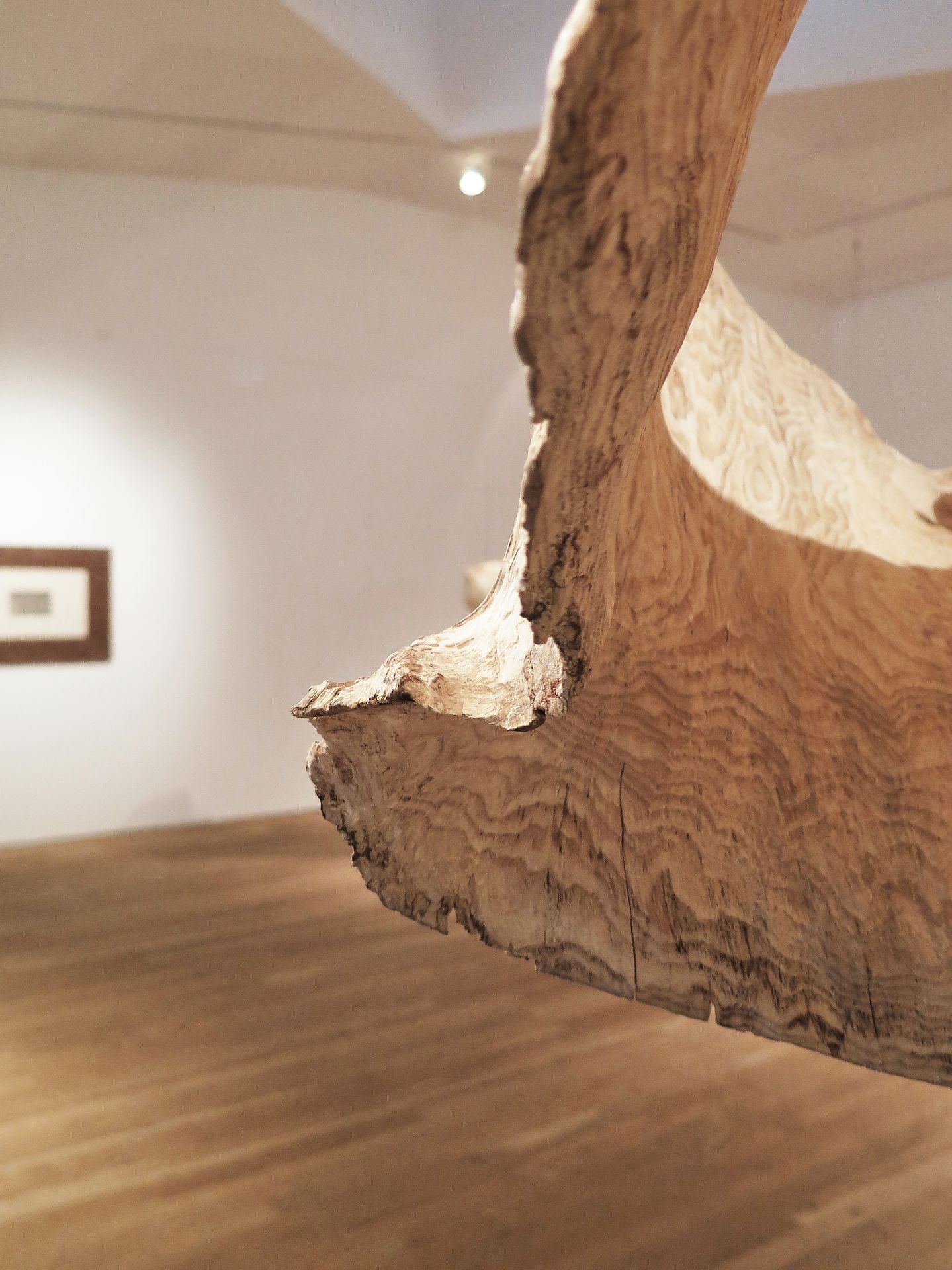 Heartwood II