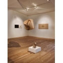 Heartwood II