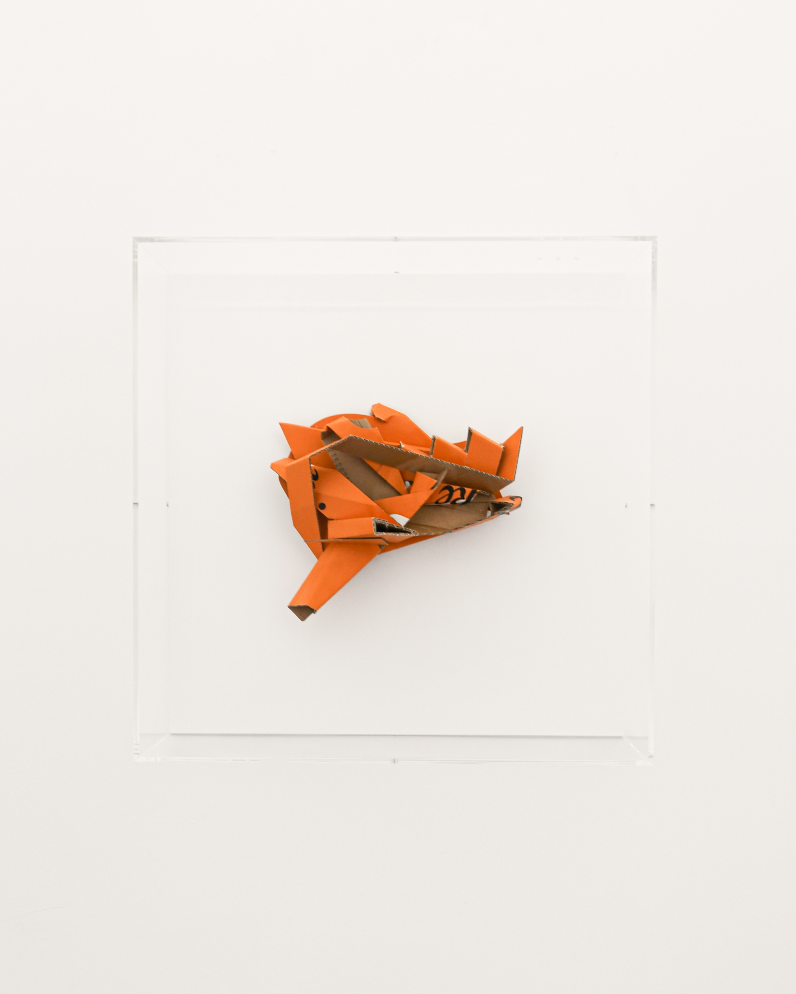 Untitled (CB-35 dare orange)