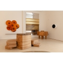 CEERS-93316