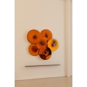 CEERS-93316