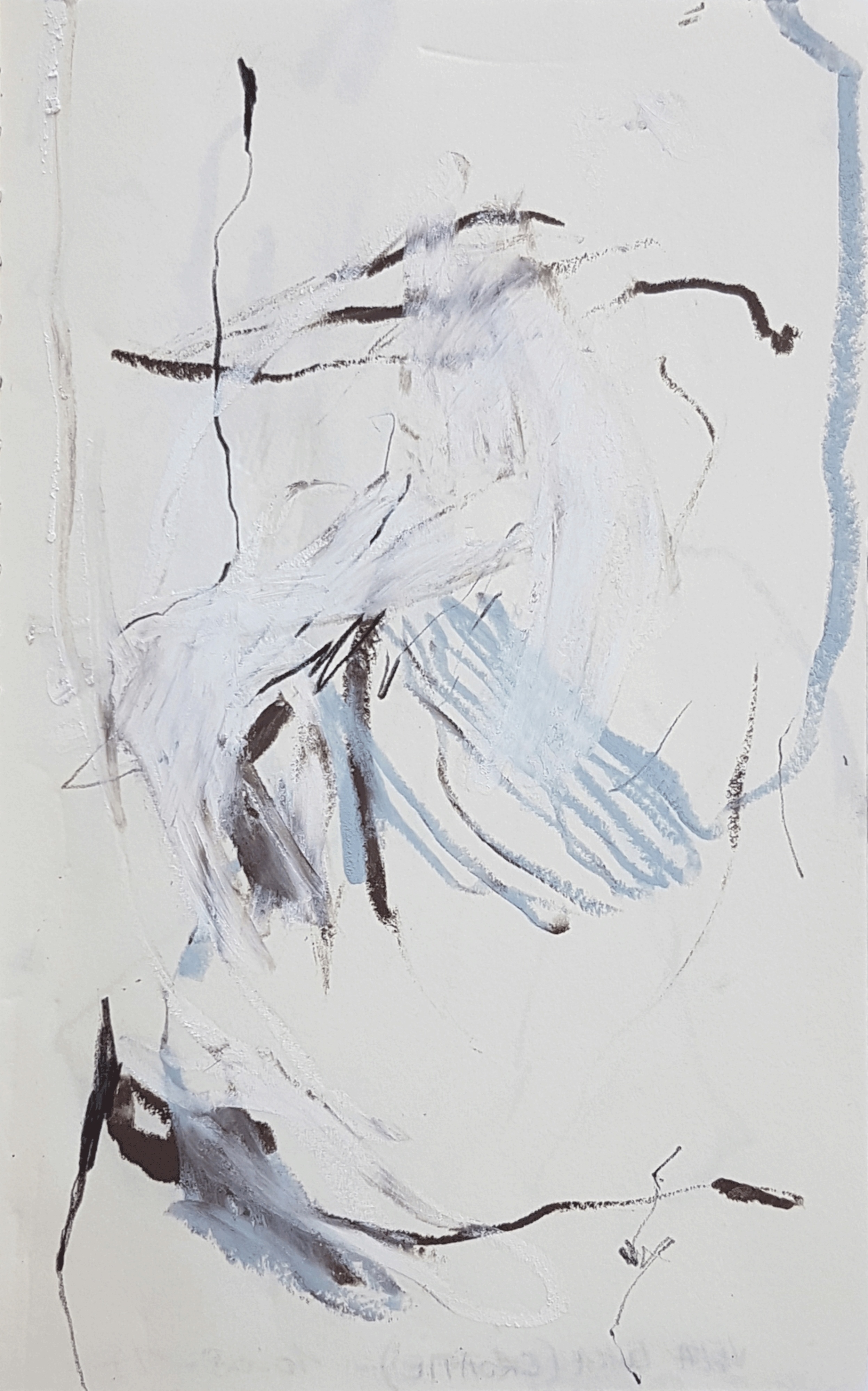 oeuvre Laurence Garnesson Zeuxis